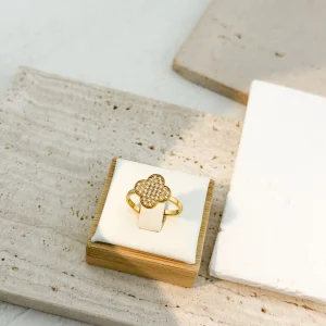 Lucky Ring – Stainless Steel